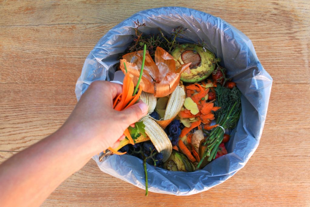 How to manage and process organic food waste