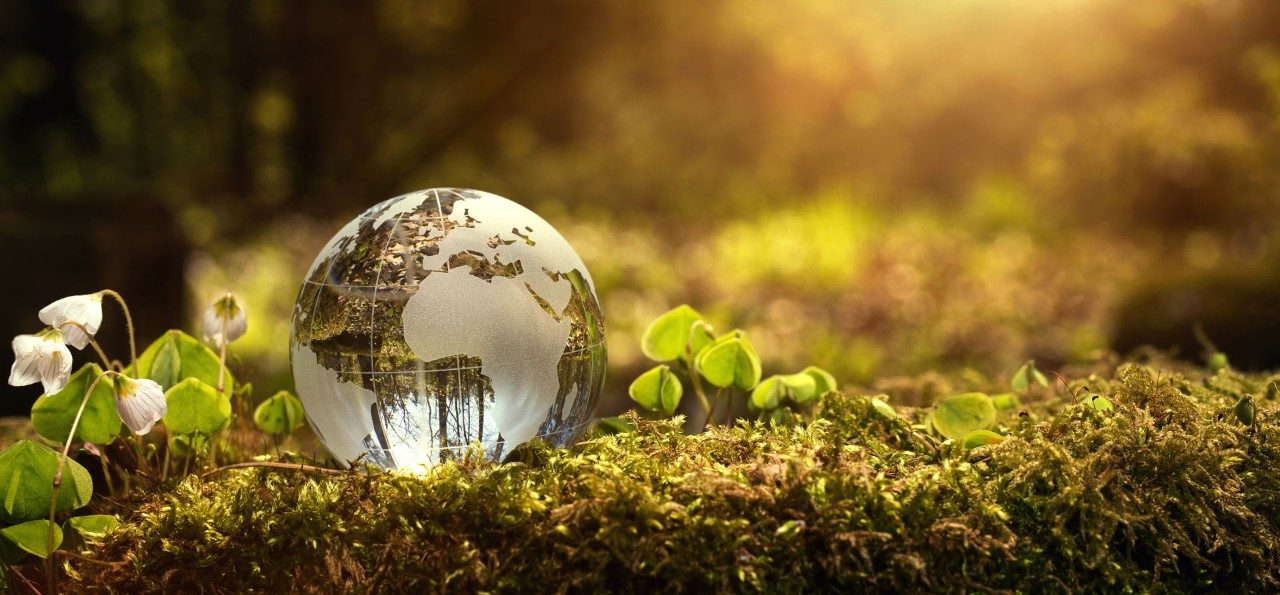 Setting Environmental Targets For Your Business & At Home